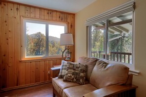 TV, fireplace, foosball