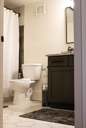 Combined shower/tub, towels - Exquisite Oasis in Decatur (Decatur)
