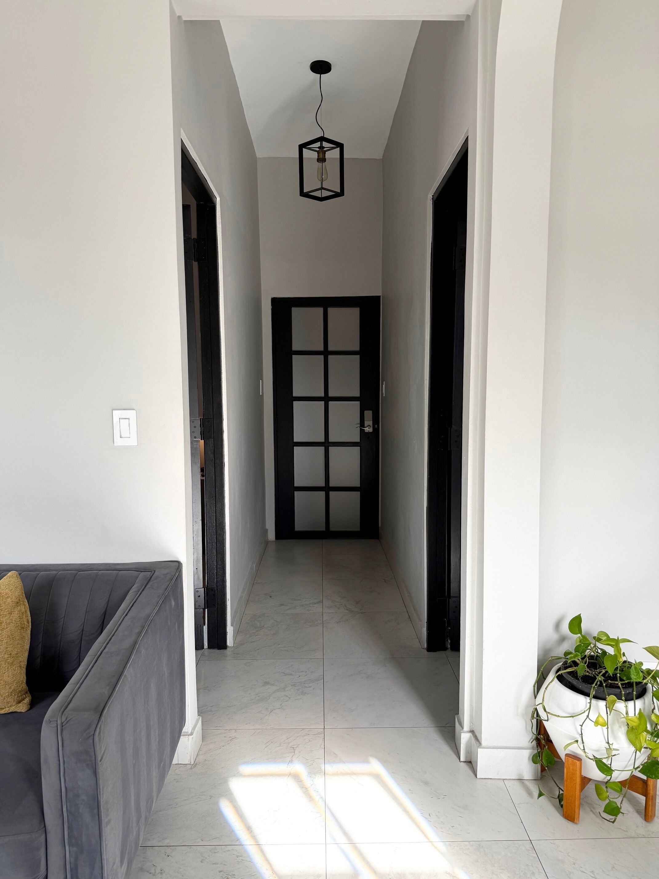 Un pasillo con una puerta oscura, un interruptor de luz y una planta en maceta.