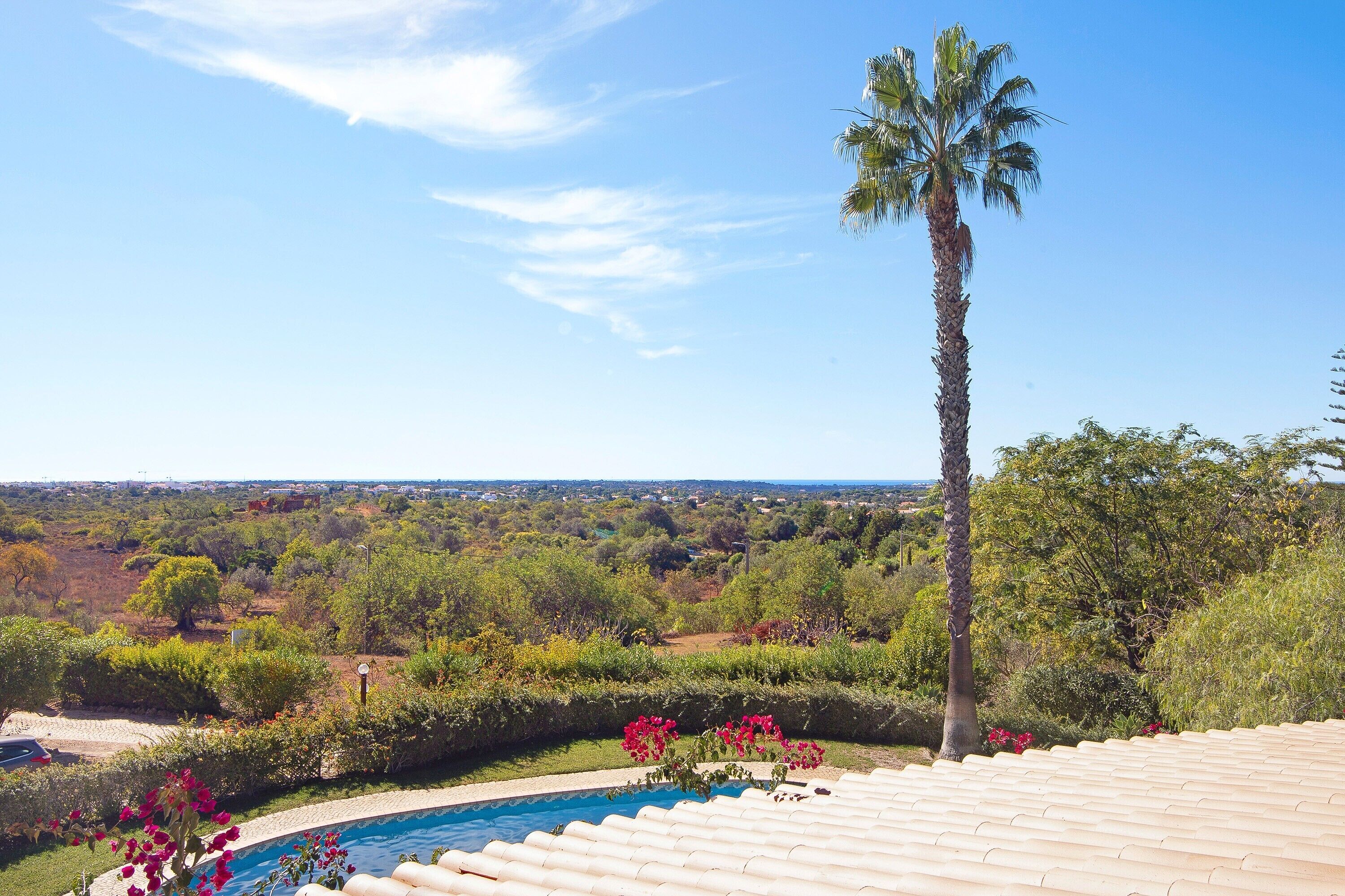 A swimming pool with a view of a palm tree and distant landscape.
