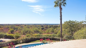 Ein Schwimmbecken mit Blick auf eine Palme und eine ferne Landschaft.