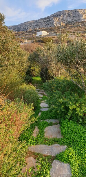 Property grounds - Villa Handras, Main villa, by Amorgos Holiday Homes (Amorgos Aigiali)