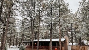Uma cabana cercada por árvores altas em uma floresta nevada.