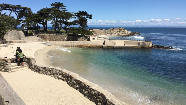 A coastal beach with a stone wall, a small building, and trees. - Seafarer - Pacific Grove Beach House - Steps to the Water, Incredible Ocean Views (Pacific Grove)