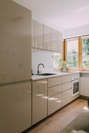 Kühlschrank, Ofen, Herdplatte, Geschirrspüler