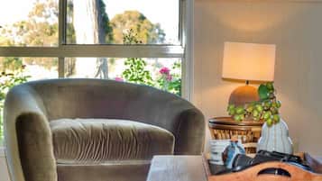 Télévision, cheminée, enceintes connectées