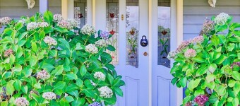 Marigold Cottage - A peaceful mountain getaway