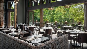 Un espacio de comedor al aire libre con varias mesas y sillas, ventanas amplias y vistas a la vegetación.