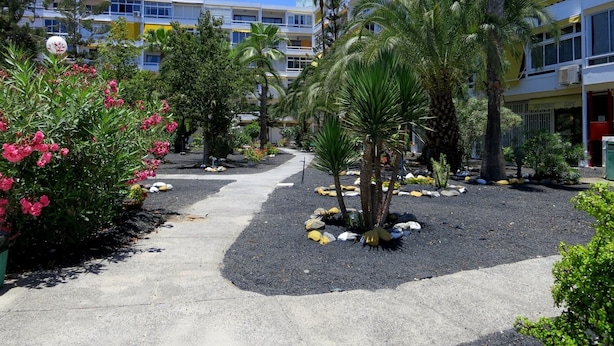 Une cour d’hôtel avec un sentier, des palmiers et un bâtiment doté de balcons.