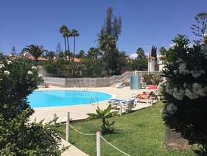 A swimming pool with a white fence, lounge chairs, and tropical vegetation.