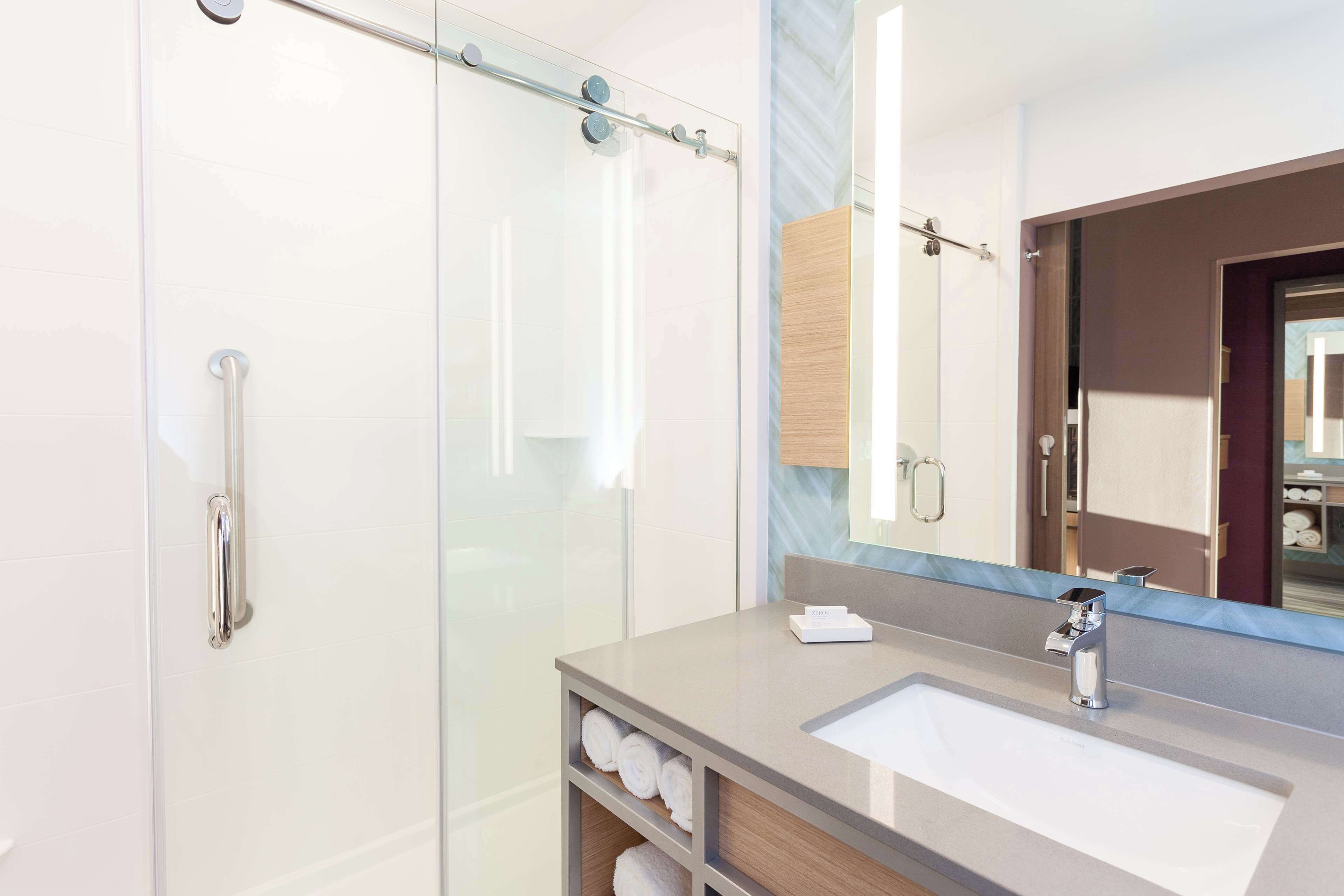 Room, 1 King Bed, Accessible (Wellness Room, Hearing Accessible) | Bathroom shower