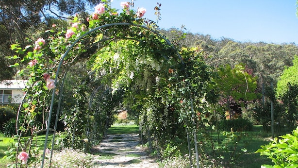 Un sentier de jardin agrémenté d’une arche en métal recouverte de plantes en fleurs.