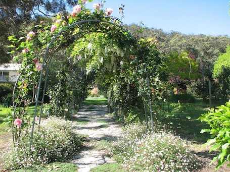 Property grounds. Jilba Cottage