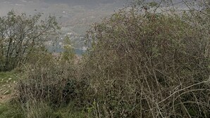 Una montaña con una vista despejada de un valle abajo.
