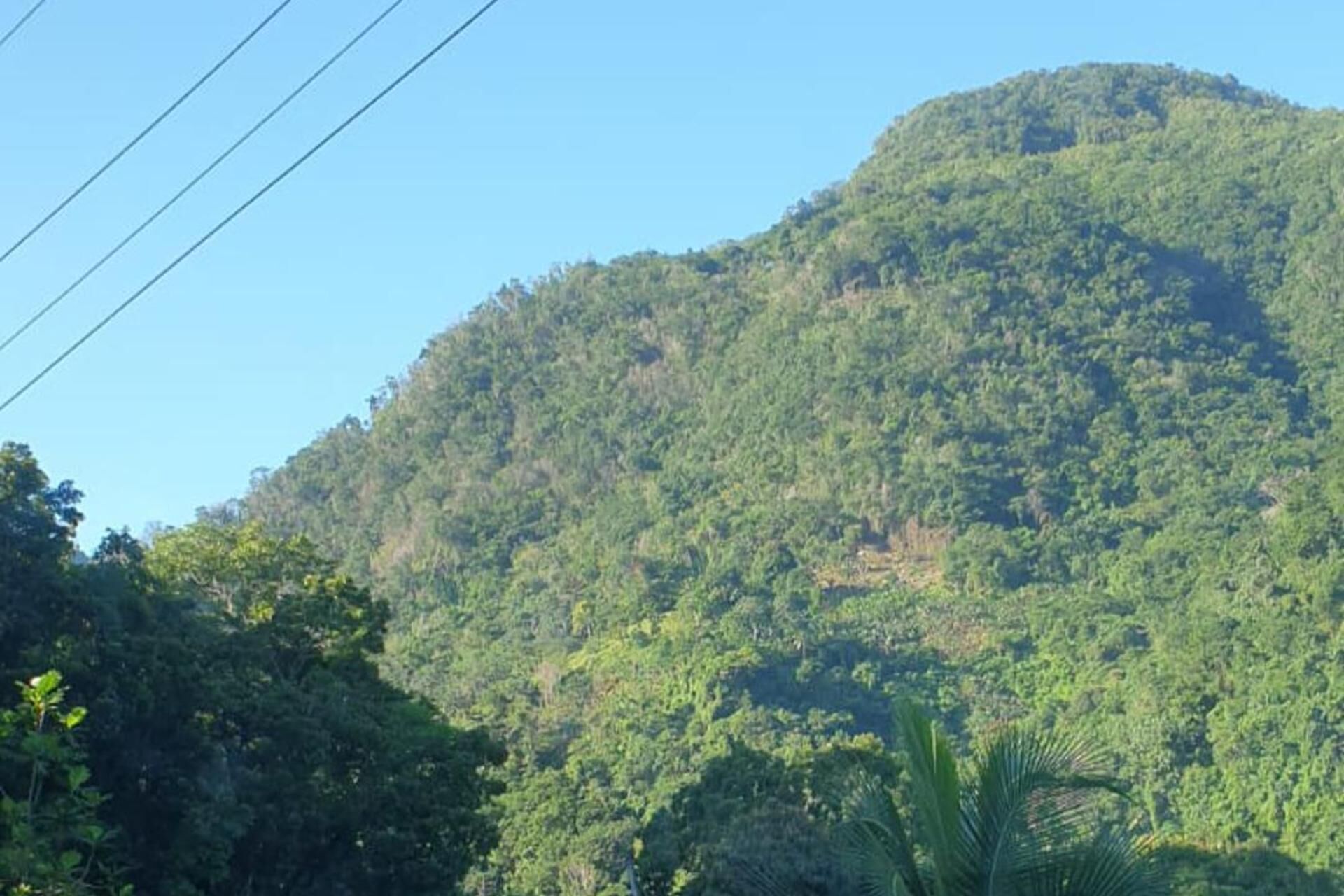 A lush green mountain with dense vegetation.