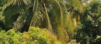 Stunning 3-bedroom House in Ocho Rios Upton