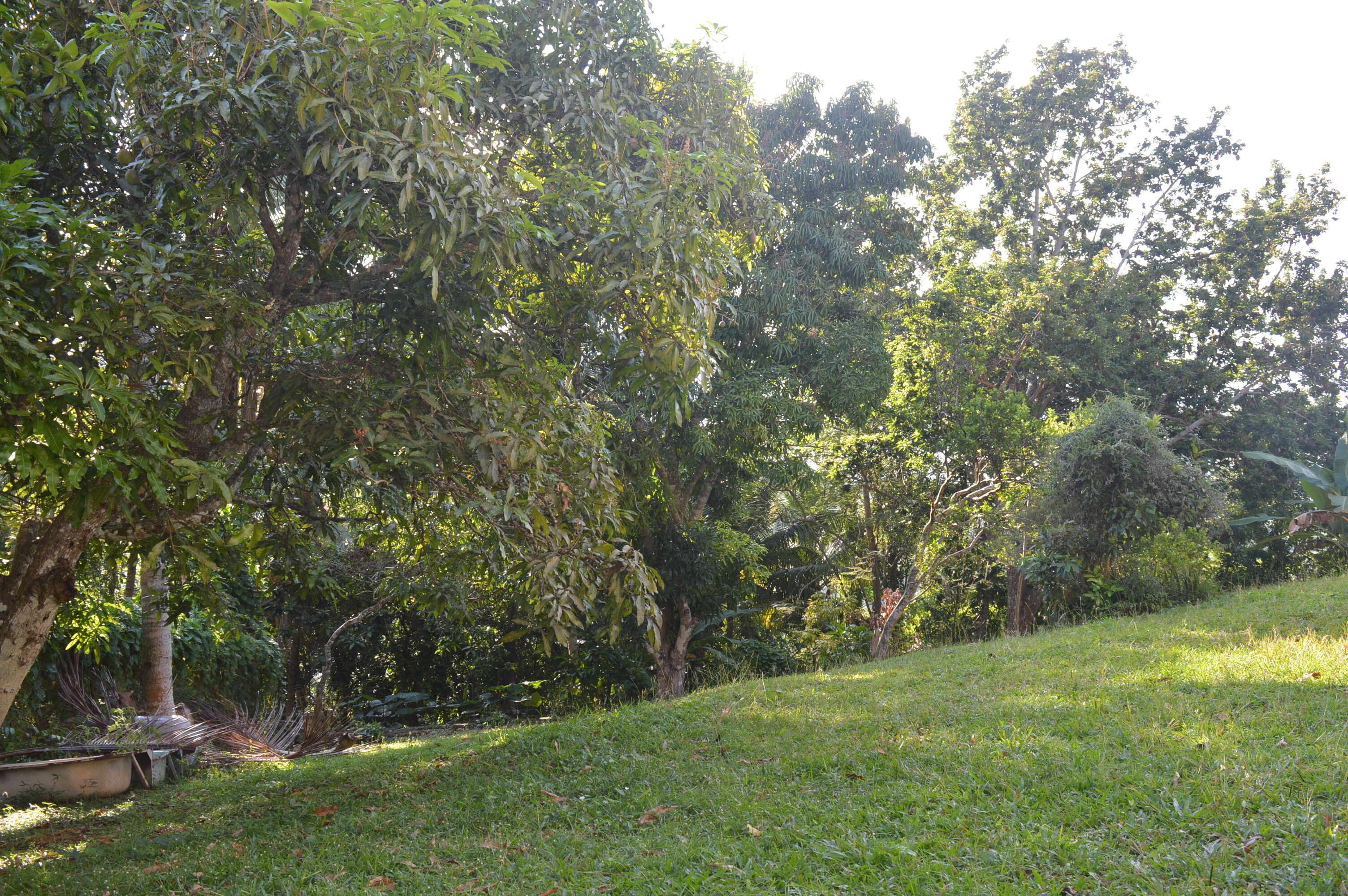 Rumah | Halaman properti