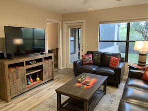 TV, fireplace, DVD player