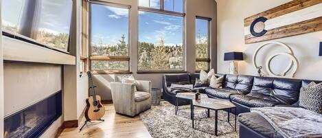 TV, fireplace, offices