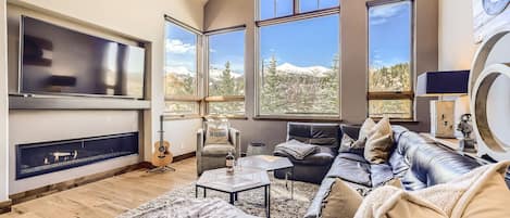 Télévision, cheminée, espaces bureaux