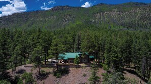 A lodge with a green roof nestled among dense forest, surrounded by mountains.