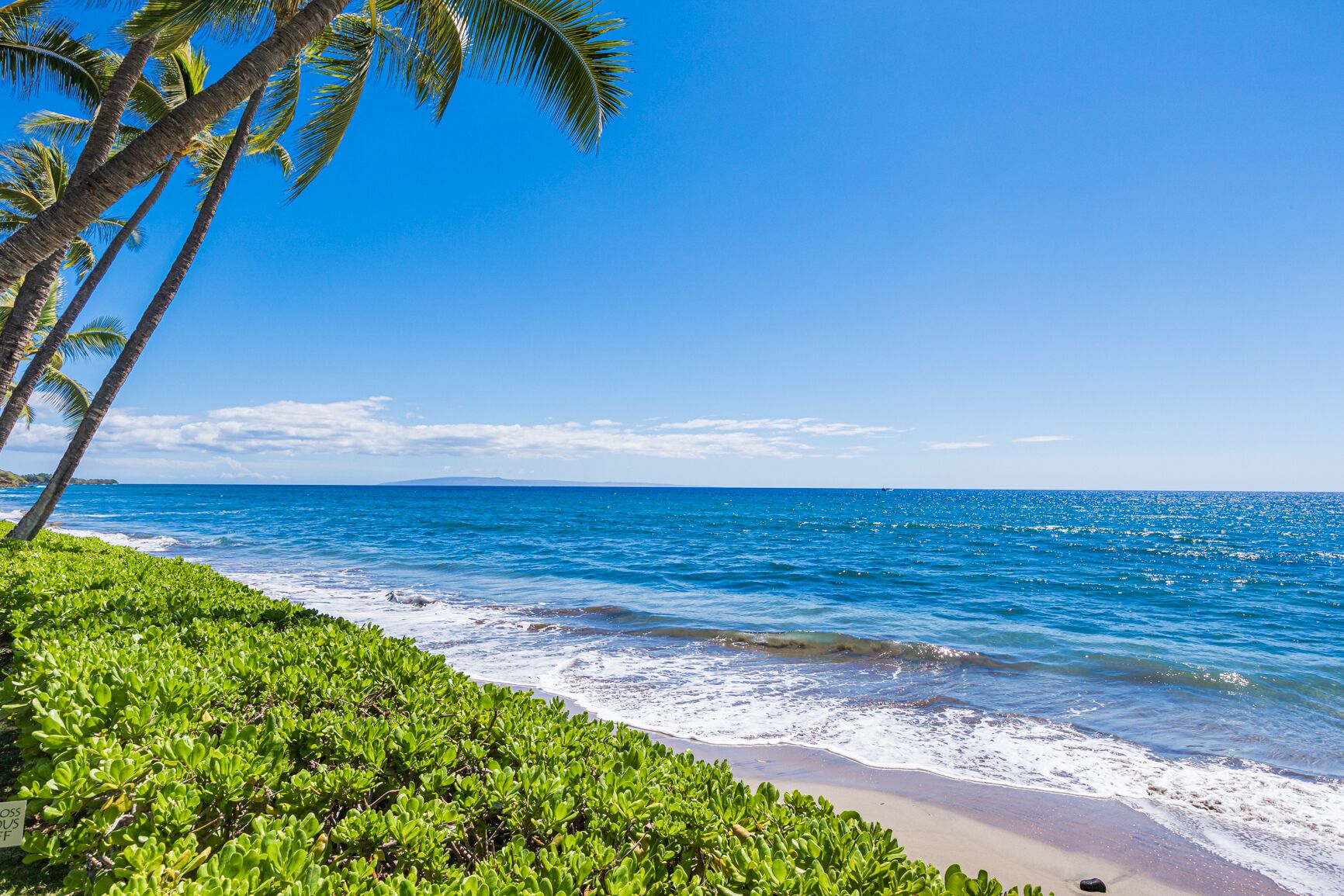 A beach with clear blue water, palm trees, and a sandy shore.