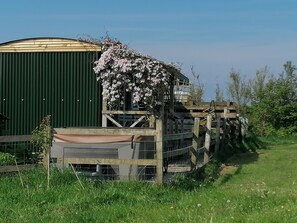 Property grounds - Shepherds Hut with stunning Pembrokeshire hill views (Maenclochog)