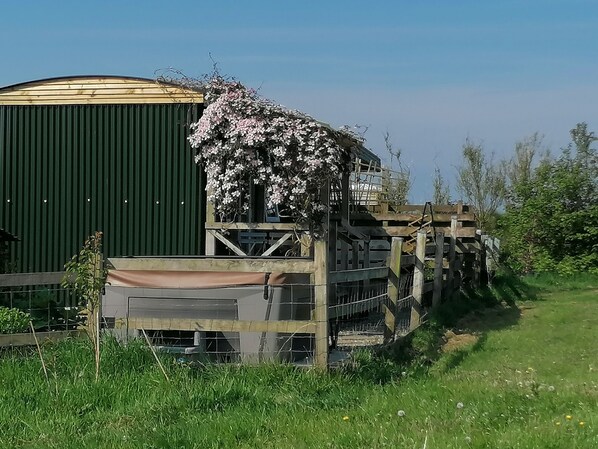 Property grounds - Shepherds Hut with stunning Pembrokeshire hill views (Maenclochog)