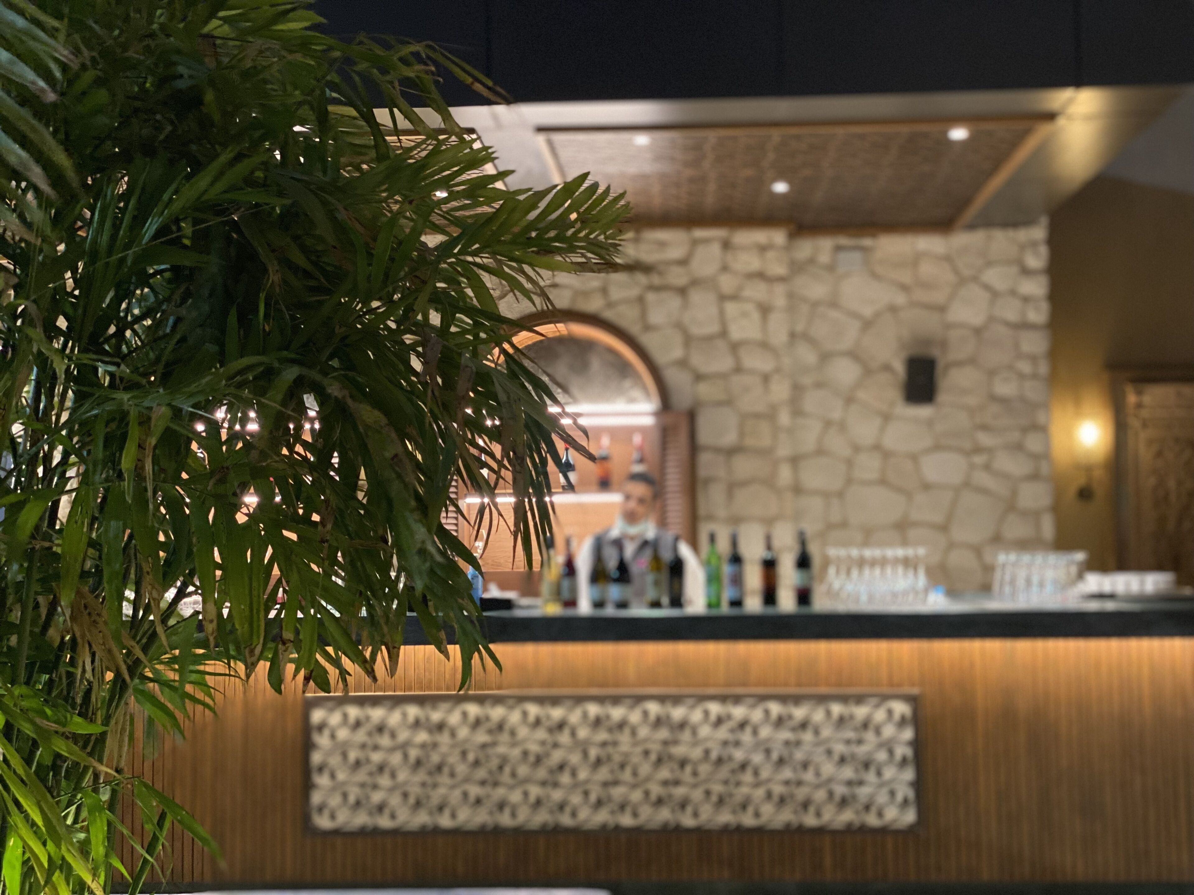 A reception area with a stone wall, a wooden counter, and a potted plant.
