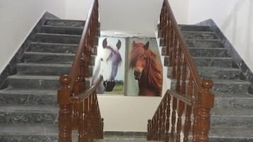 Escadaria