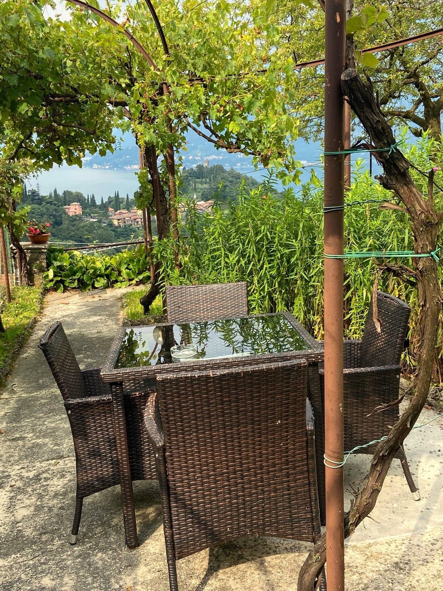 Een set rieten tafel en stoelen buiten, met uitzicht op een wijngaard en gebouwen in de verte.