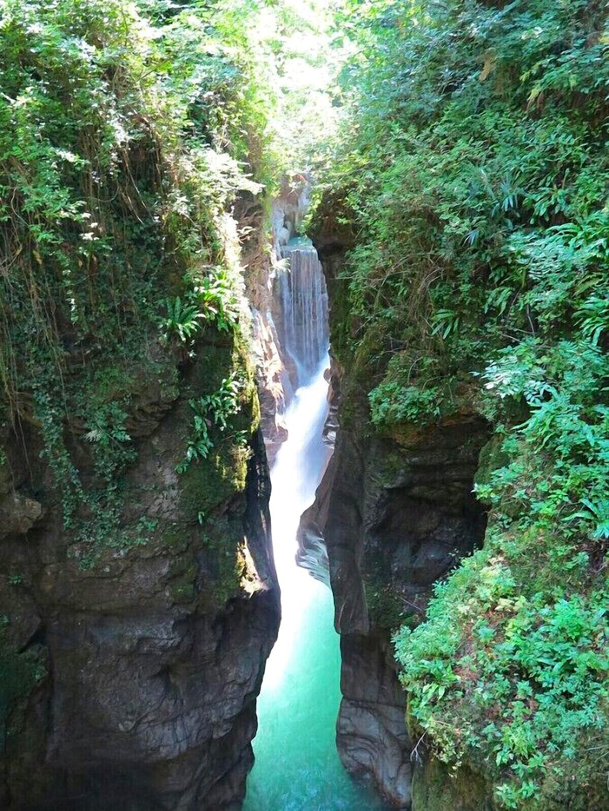A narrow canyon with a waterfall and dense greenery.