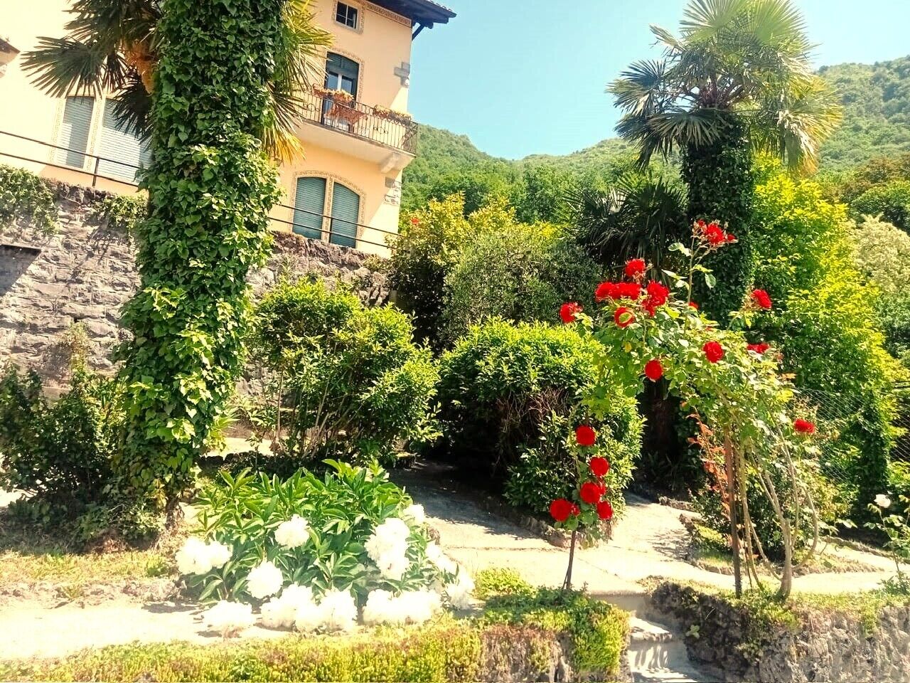 Ein Garten mit verschiedenen Pflanzen und Blumen, eine Steinmauer und ein Gebäude mit einem Balkon.