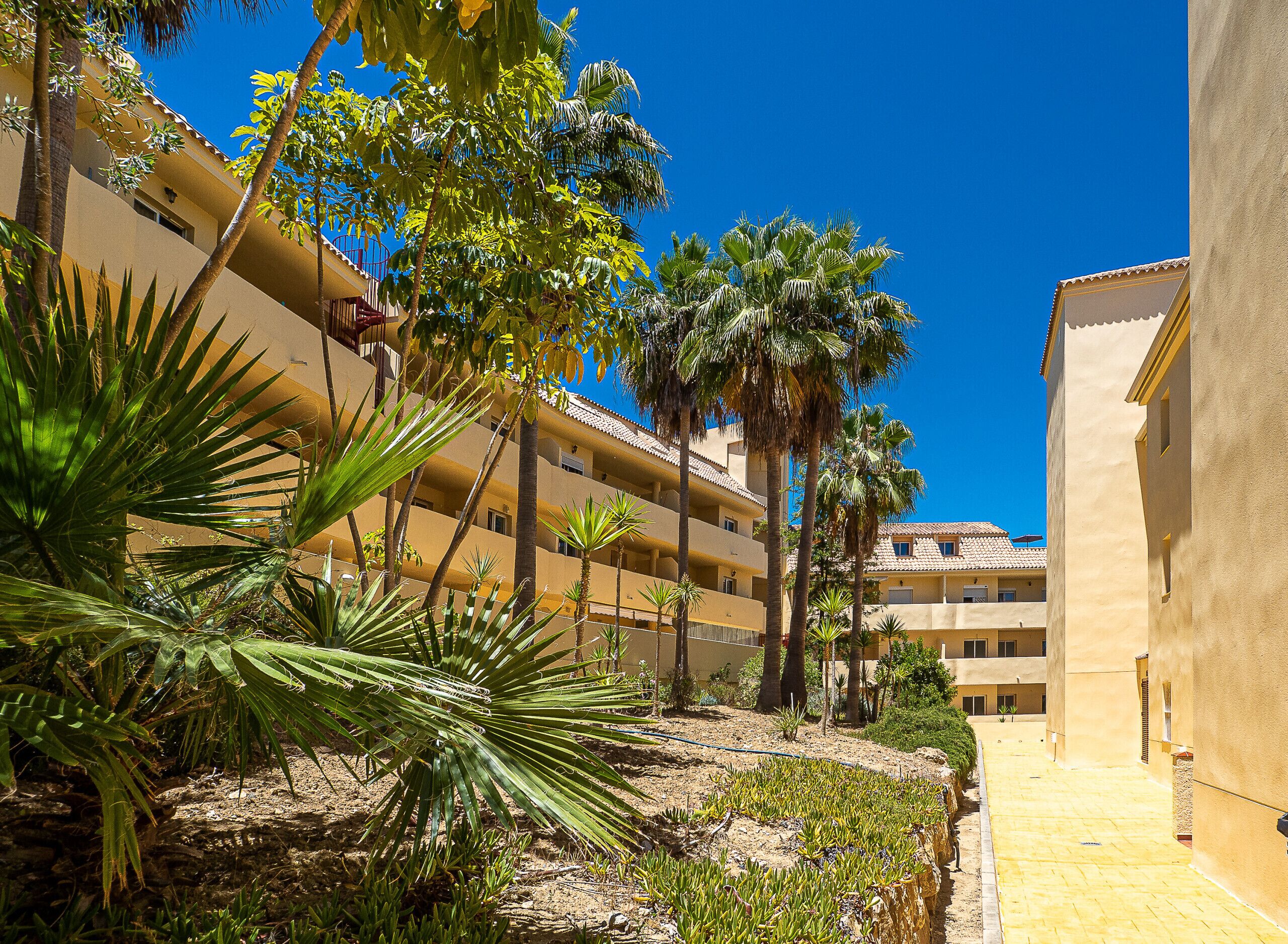 A courtyard with palm trees, a yellow building with balconies, and a clear blue sky.