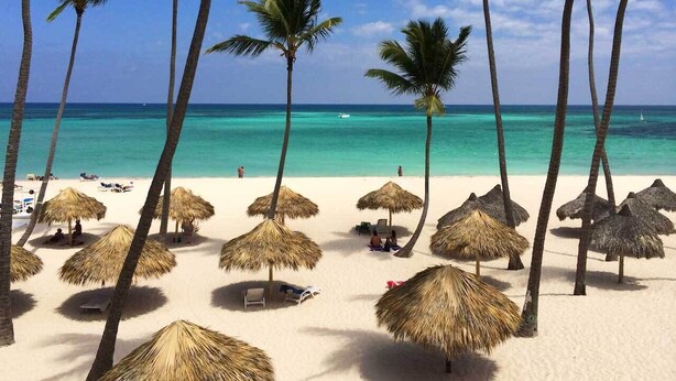 A beach with thatched umbrellas and palm trees.
