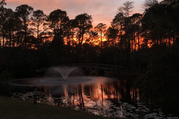 Fantastic back yard sunset from our patio.
