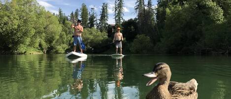 Dos personas haciendo paddleboard en un río tranquilo rodeado de árboles verdes y frondosos.