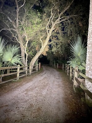 Stroll along the gravel path lined with agave plants and dense trees.