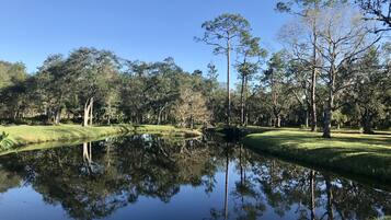 A serene landscape with a pond reflecting trees and a clear sky.