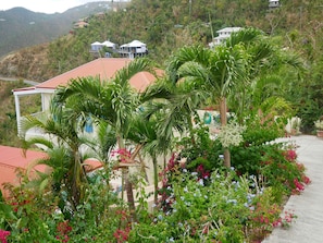 Property grounds - Awesome views, private pool, air conditioning, close to beaches, restaurants! (St John)