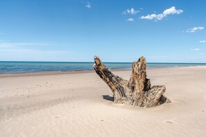 Beach nearby, sun loungers