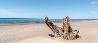 All The Waters Retro Home on Lake Michigan- PRIVATE BEACH-Large, shaded backyard