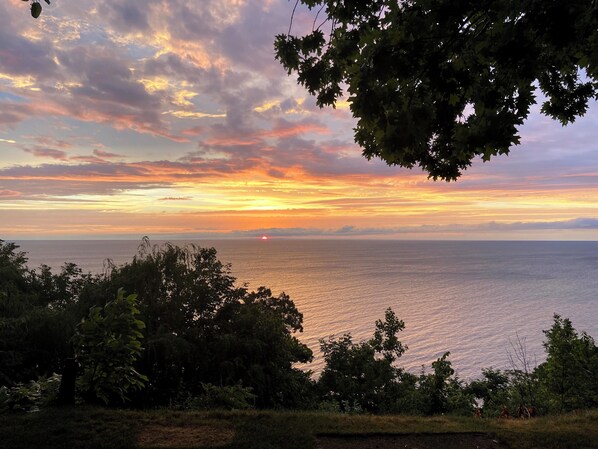 A sunset view over a calm sea with trees in the foreground.
