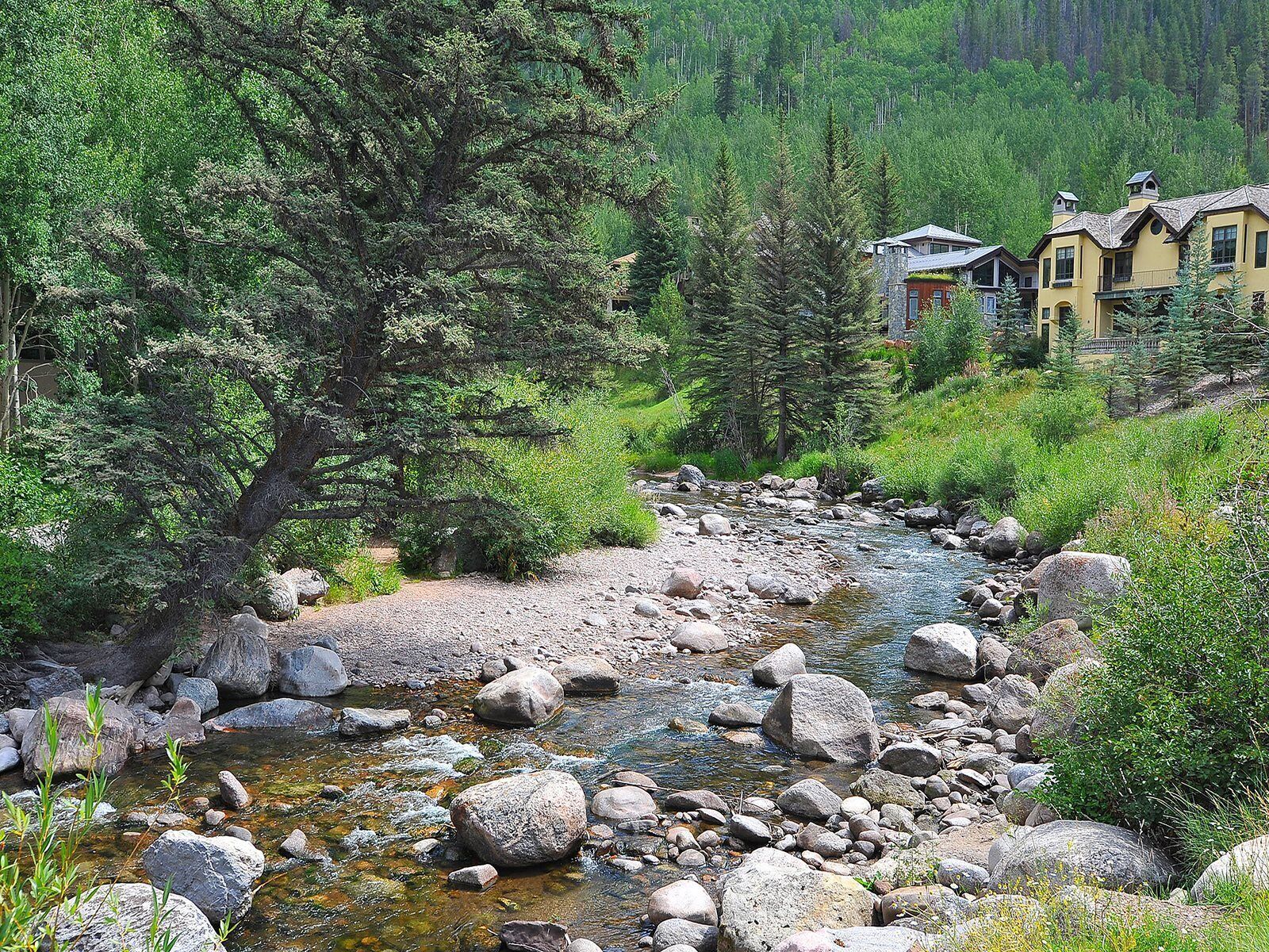 A river flowing through a forest with a house in the background.