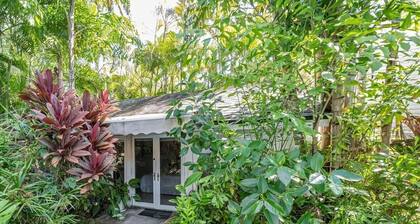 NE Coconut Grove pool home, family & pet friendly, huge yard, & guest house.