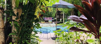 NE Coconut Grove pool home, family & pet friendly, huge yard, & guest house. 