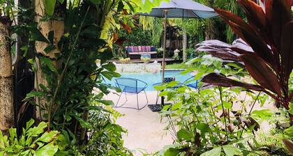 NE Coconut Grove pool home, family & pet friendly, huge yard, & guest house.