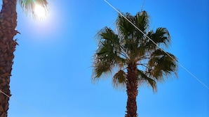A residential area with a swimming pool, palm trees, and a view of the sea. - Beach Condo with Atlantic Ocean view by Be Cherish (Albufeira)