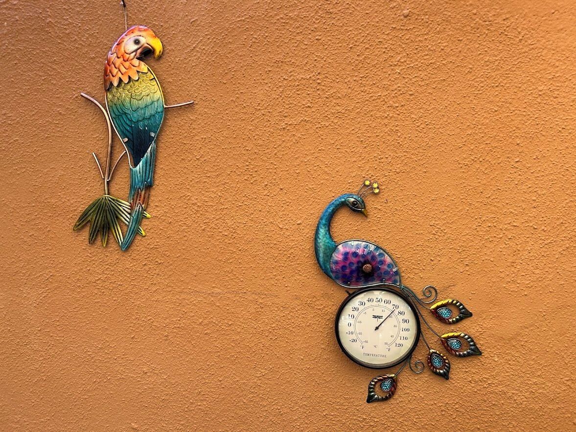 Una pared con un colorido pavo real y un reloj.