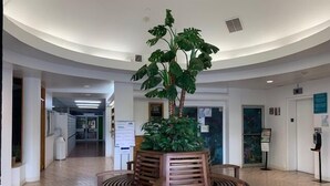 Un hall d’entrée doté d’un plafond incurvé, d’un banc en bois avec un jardinière centrale et d’un sol carrelé.